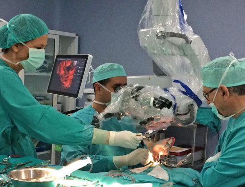 Hernia discal cervical y mielopatía: Síntomas y tratamientos avanzados