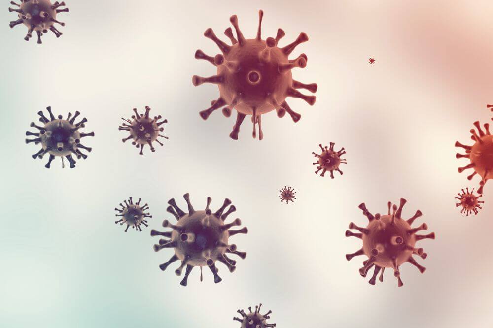 Enfermedades infecciosas, tratamiento por médicos internistas