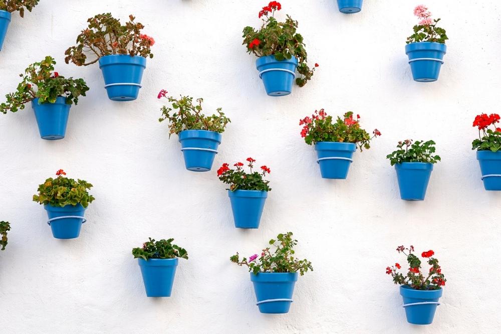 Alimentación saludable en Fiesta de los patios en Córdoba - Recomendaciones nutricionista para comer bien