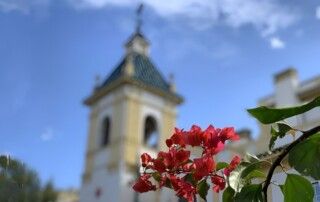Flores primaverales frente a la torre del Hospital Cruz Roja de Córdoba para artículo sobre alergias.