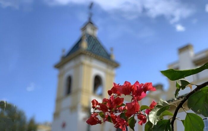 Flores primaverales frente a la torre del Hospital Cruz Roja de Córdoba para artículo sobre alergias.