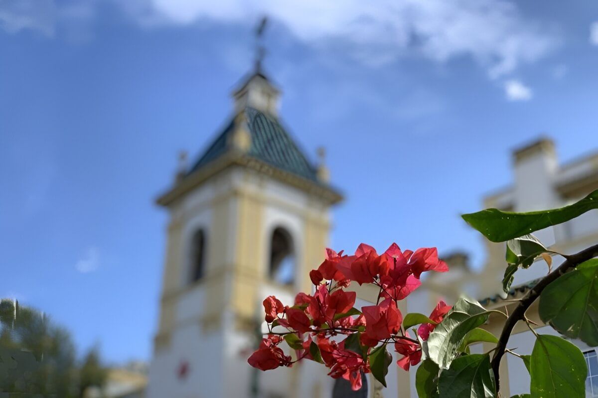 Flores primaverales frente a la torre del Hospital Cruz Roja de Córdoba para artículo sobre alergias.