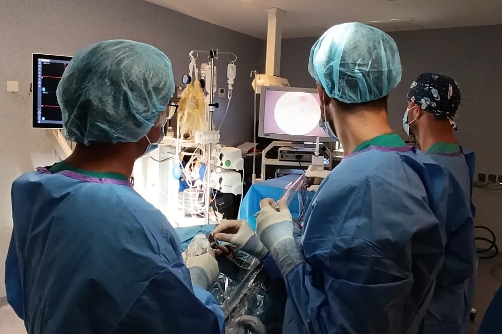 Imagen de la intervención neuroendoscópica para tratar una hidrocefalia obstructiva en el Hospital Cruz Roja de Córdoba